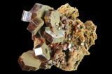 Red & Brown Vanadinite Crystal Cluster - Morocco #133725-1